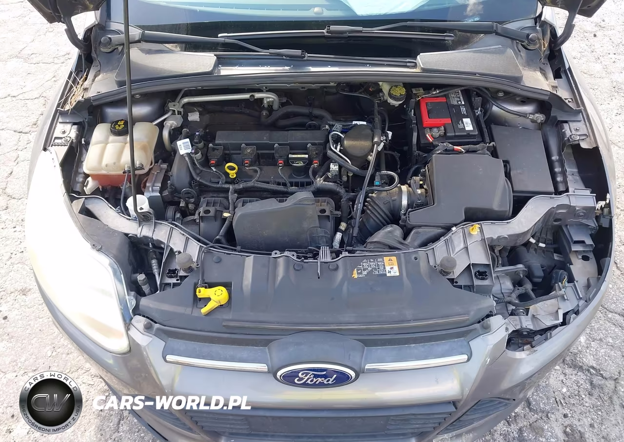 2014 Ford Focus Se VIN:1FADP3F28EL314515 - 10