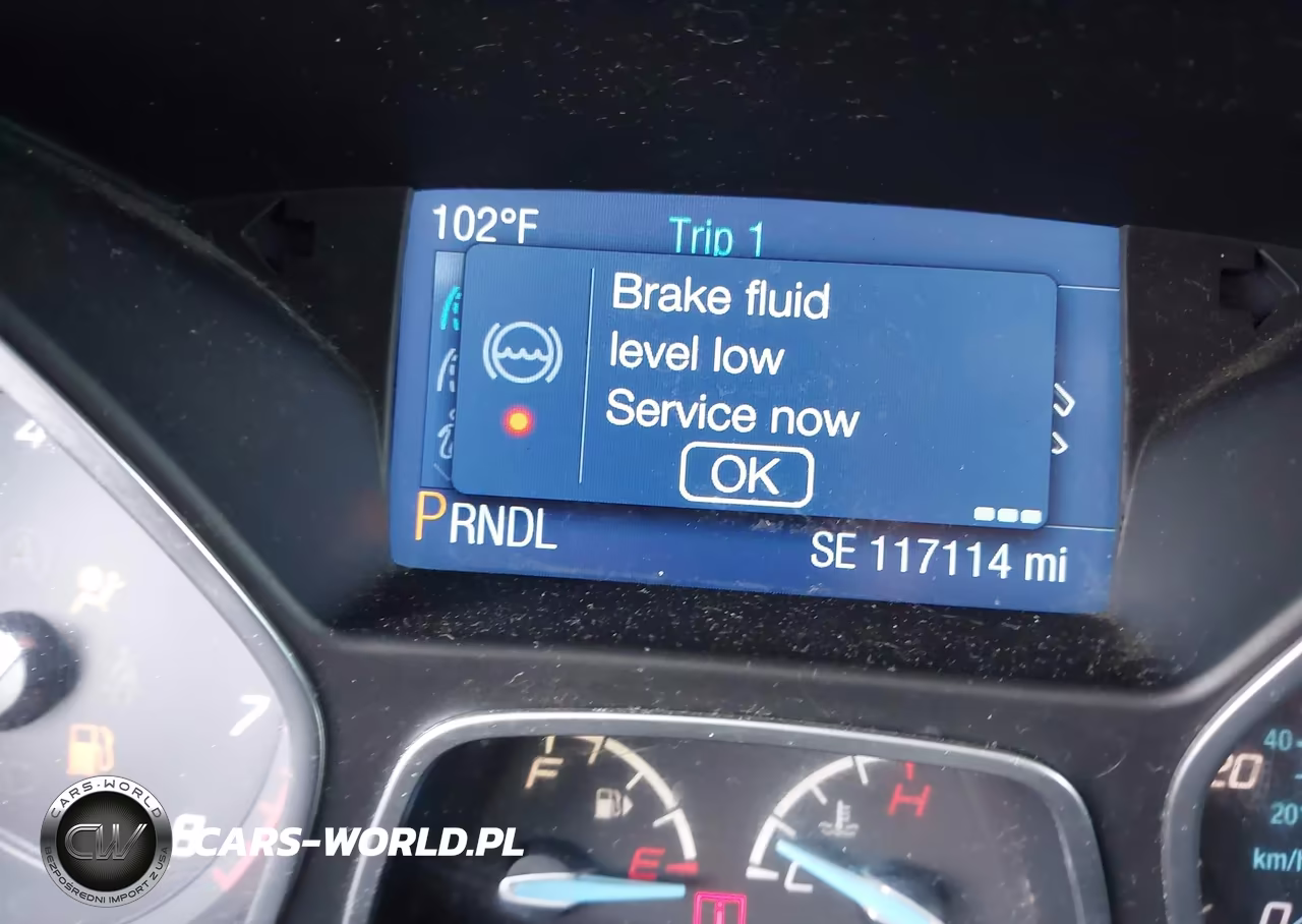 2014 Ford Focus Se VIN:1FADP3F28EL314515 - 15
