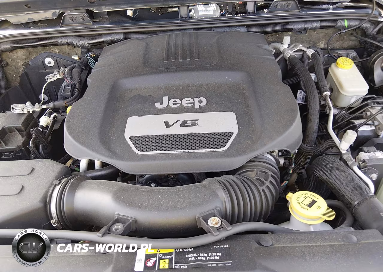 2017 Jeep Wrangler Unlimited Big Bear 4X4 VIN:1C4BJWDG4HL599270 - 10