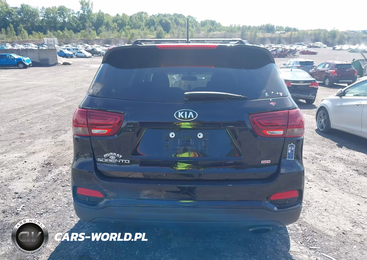2020 Kia Sorento 2.4L Lx VIN:5XYPGDA35LG671995 - 16