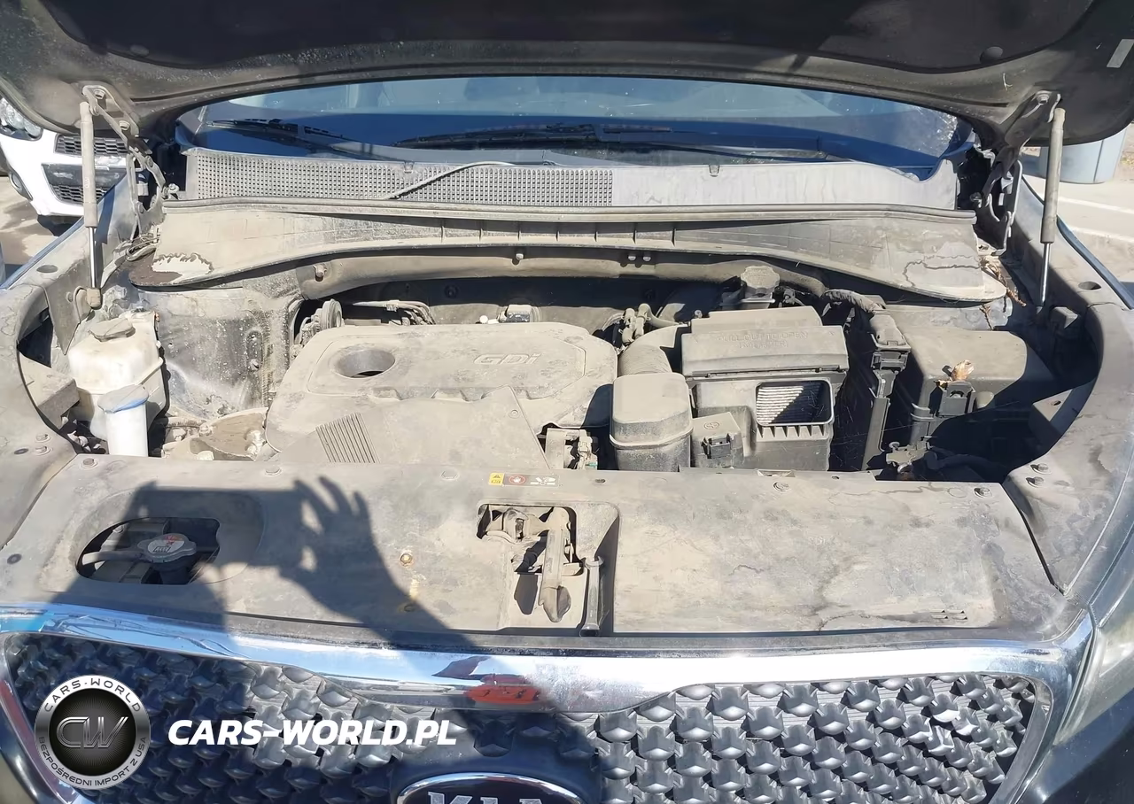2017 Kia Sorento 2.4L Lx VIN:5XYPG4A35HG200923 - 10