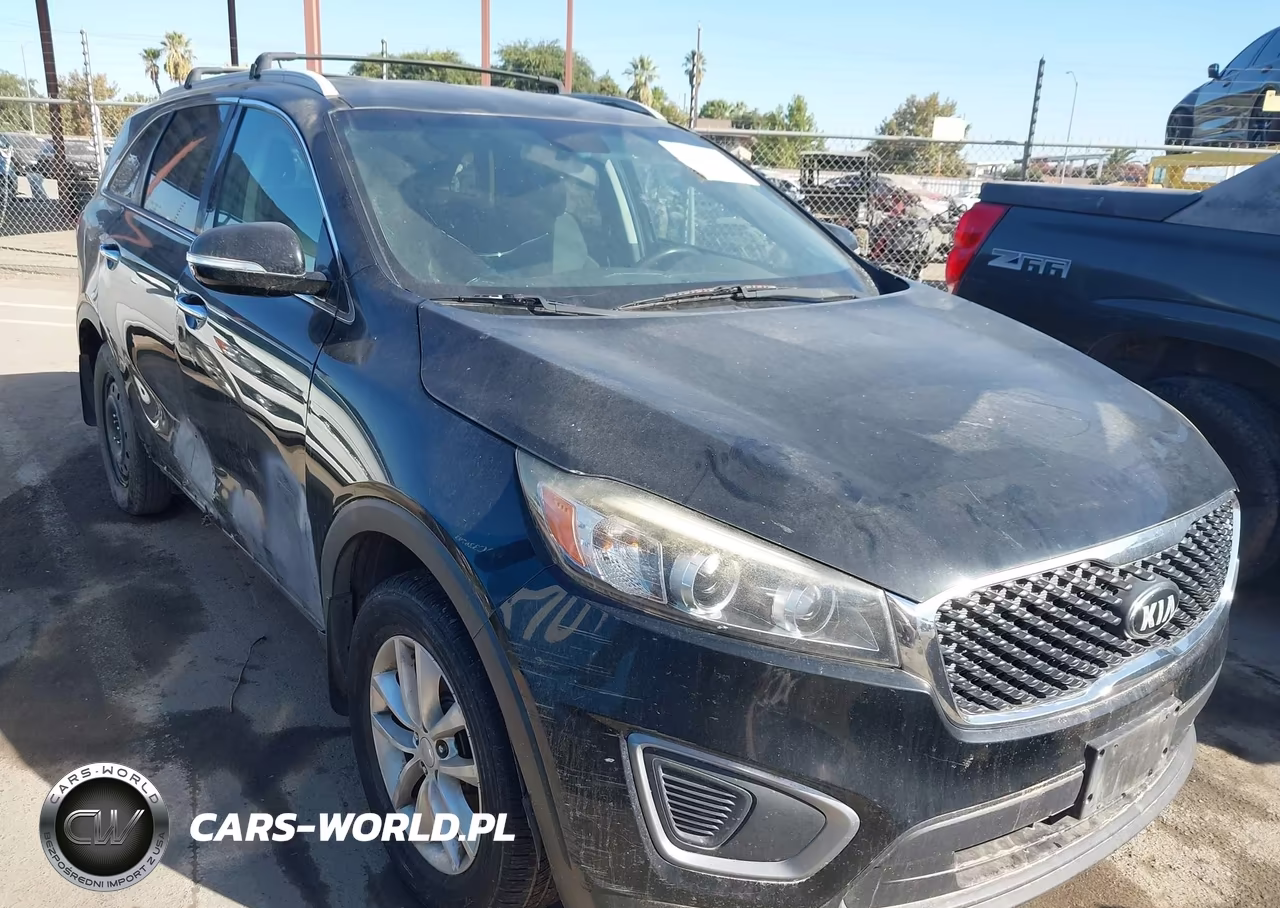 2017 Kia Sorento 2.4L Lx VIN:5XYPG4A35HG200923 - 13