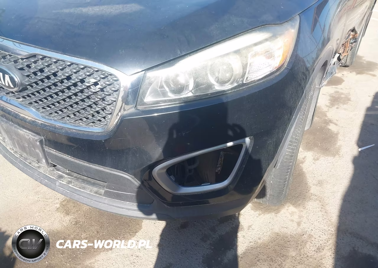 2017 Kia Sorento 2.4L Lx VIN:5XYPG4A35HG200923 - 17