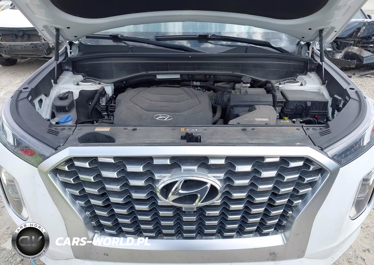 2021 Hyundai Palisade Limited VIN:KM8R5DHE1MU217809 - 10