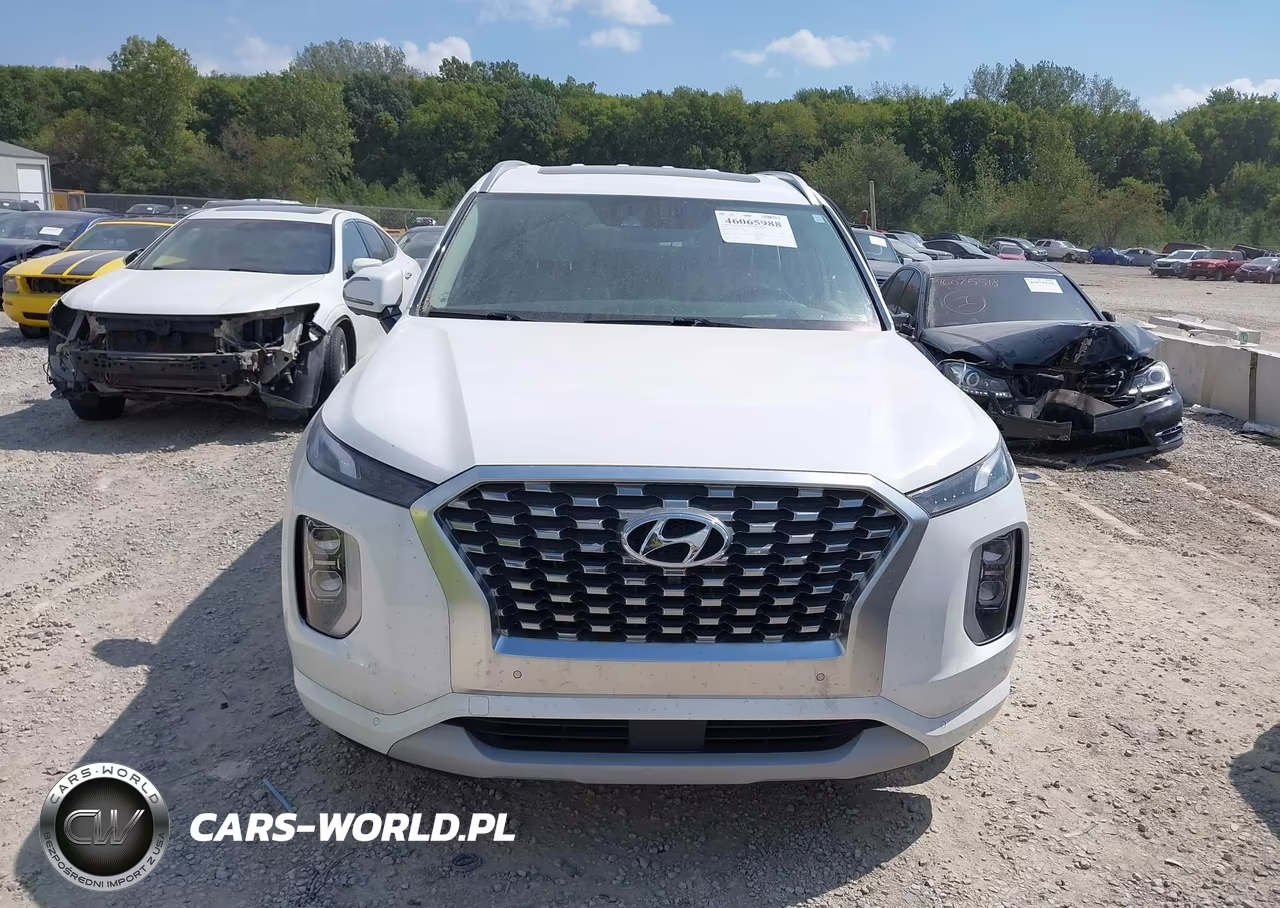 2021 Hyundai Palisade Limited VIN:KM8R5DHE1MU217809 - 13
