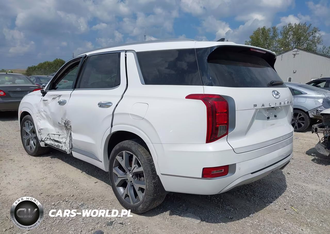 2021 Hyundai Palisade Limited VIN:KM8R5DHE1MU217809 - 3