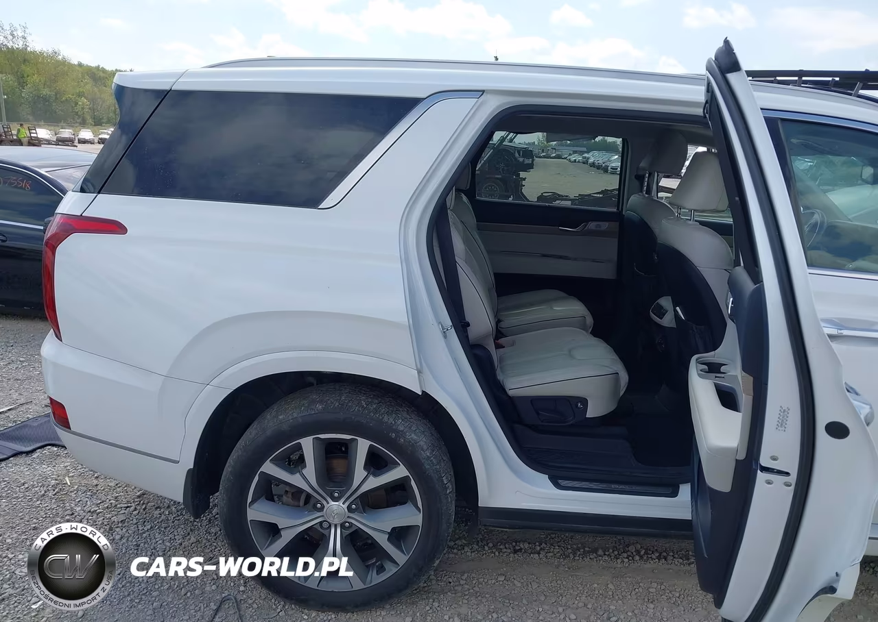 2021 Hyundai Palisade Limited VIN:KM8R5DHE1MU217809 - 8