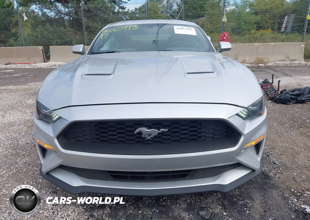 2018 Ford Mustang Ecoboost VIN:1FA6P8TH9J5135445 - 12