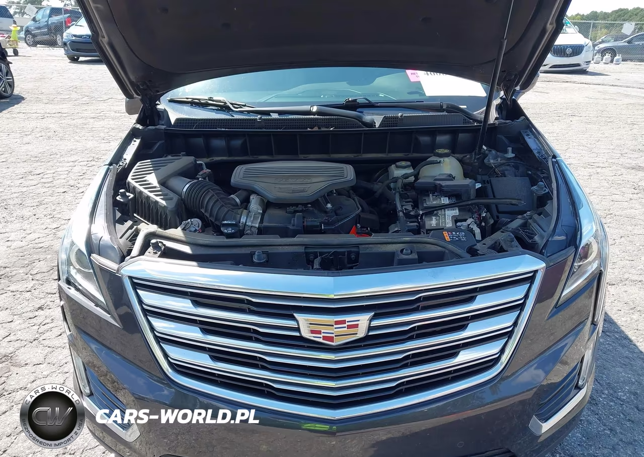 2019 Cadillac Xt5 Luxury VIN:1GYKNCRS7KZ117115 - 10