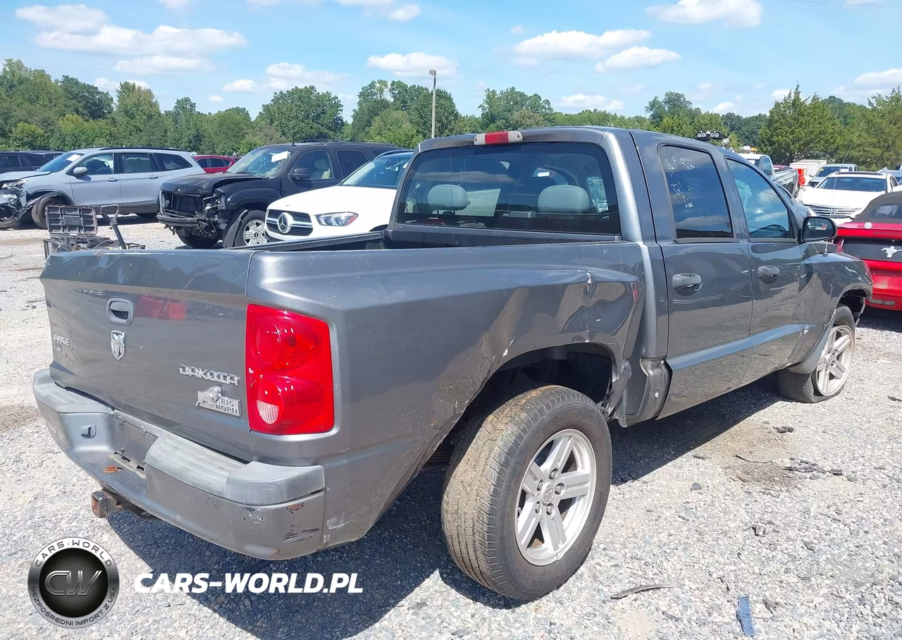 2010 Dodge Dakota Bighorn-Lonestar VIN:1D7CE3GP2AS119098 - 4