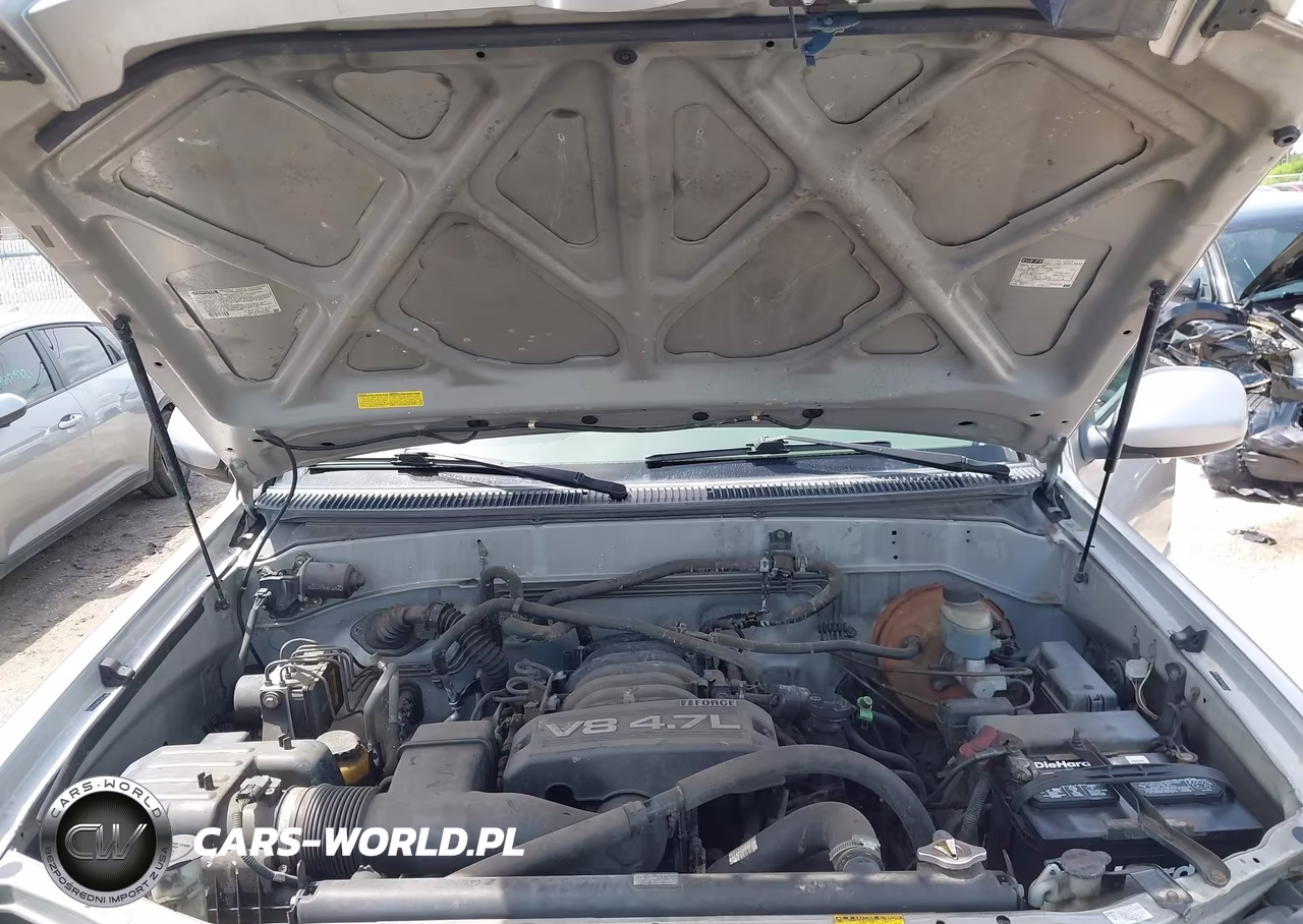 2005 Toyota Sequoia Sr5 V8 VIN:5TDZT34A75S253534 - 10