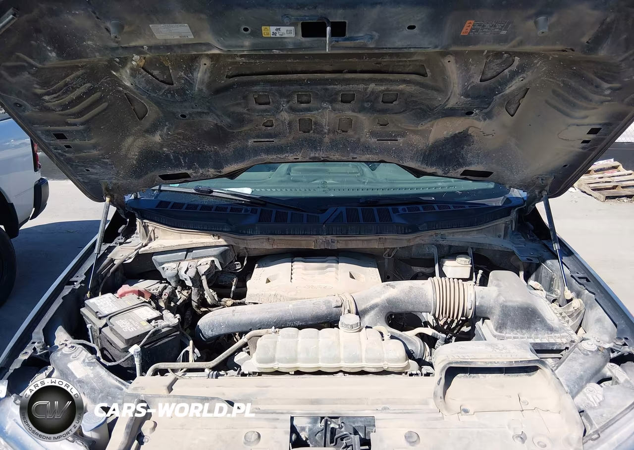 2021 Ford F-150 Xl VIN:1FTFW1E81MFC47396 - 10
