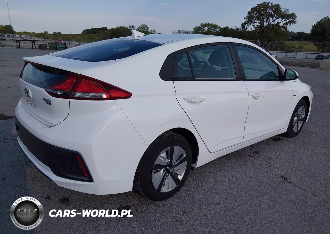 2020 Hyundai Ioniq Hybrid Blue VIN:KMHC65LC6LU233176 - 4