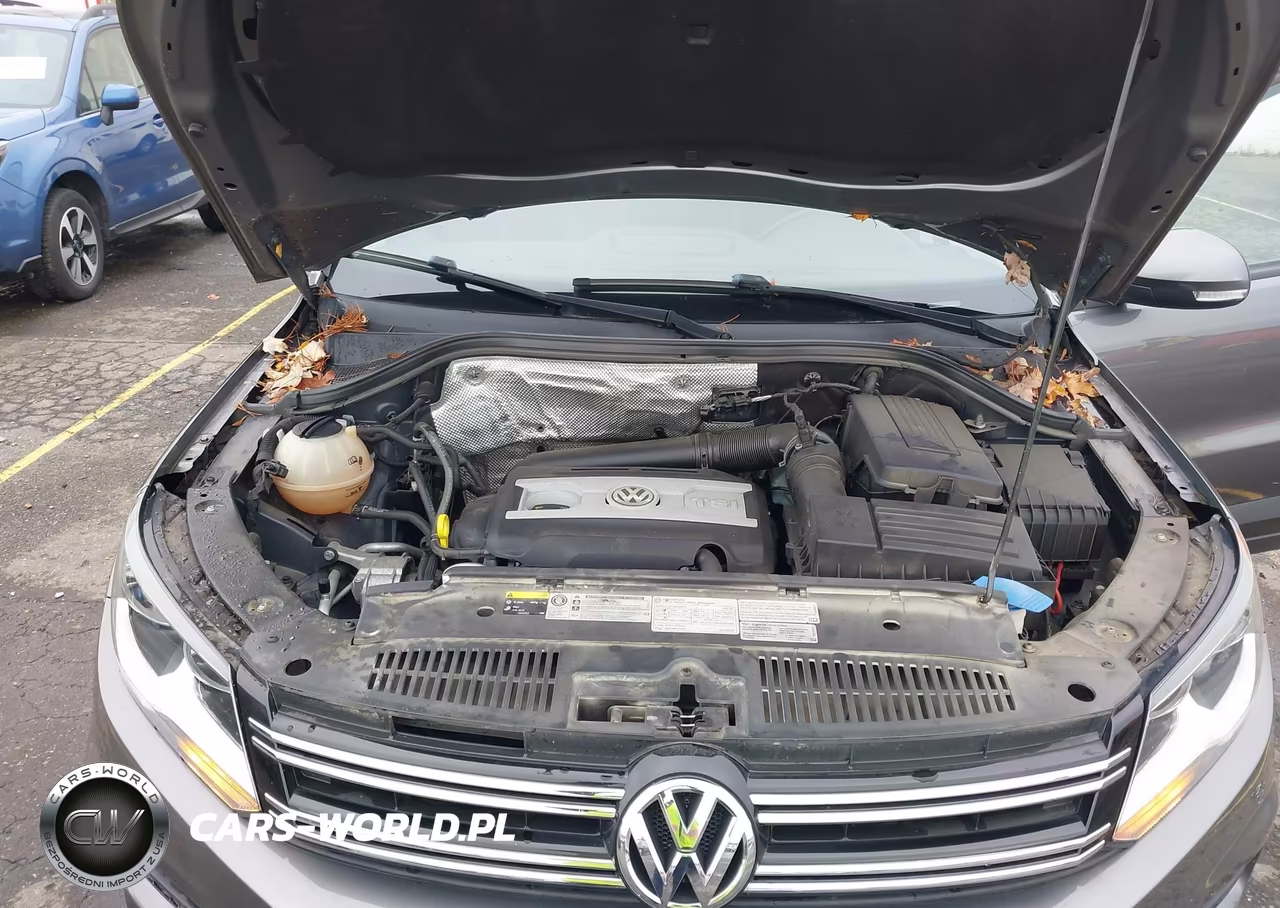 2016 Volkswagen Tiguan S VIN:WVGBV7AX1GW590257 - 10