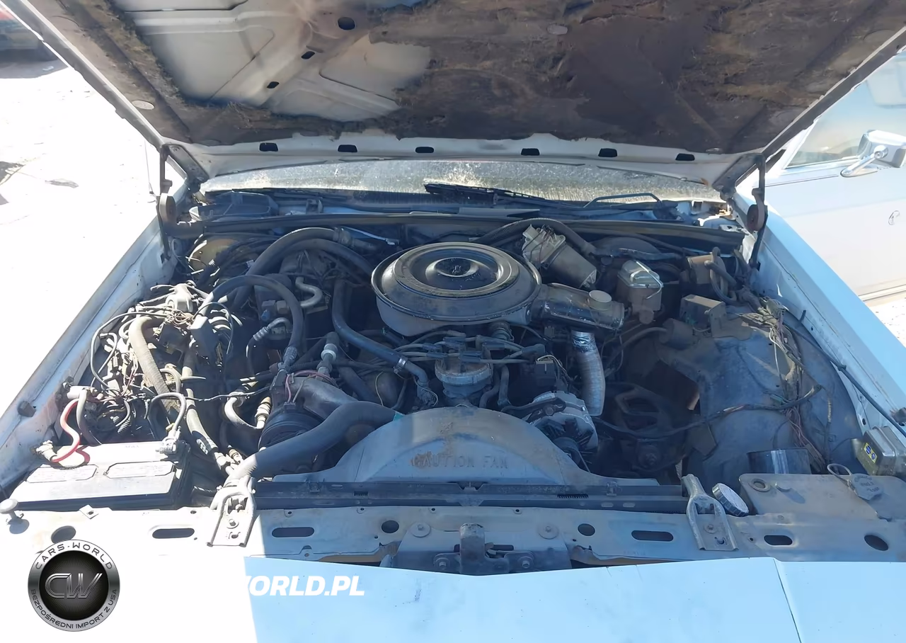 1984 Mercury Grand Marquis VIN:1MEBP95F0EZ677900 - 10