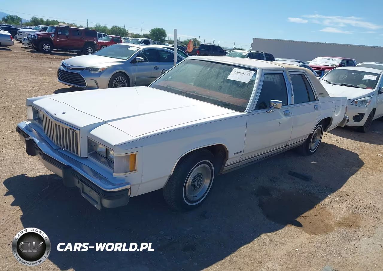 1984 Mercury Grand Marquis VIN:1MEBP95F0EZ677900 - 2