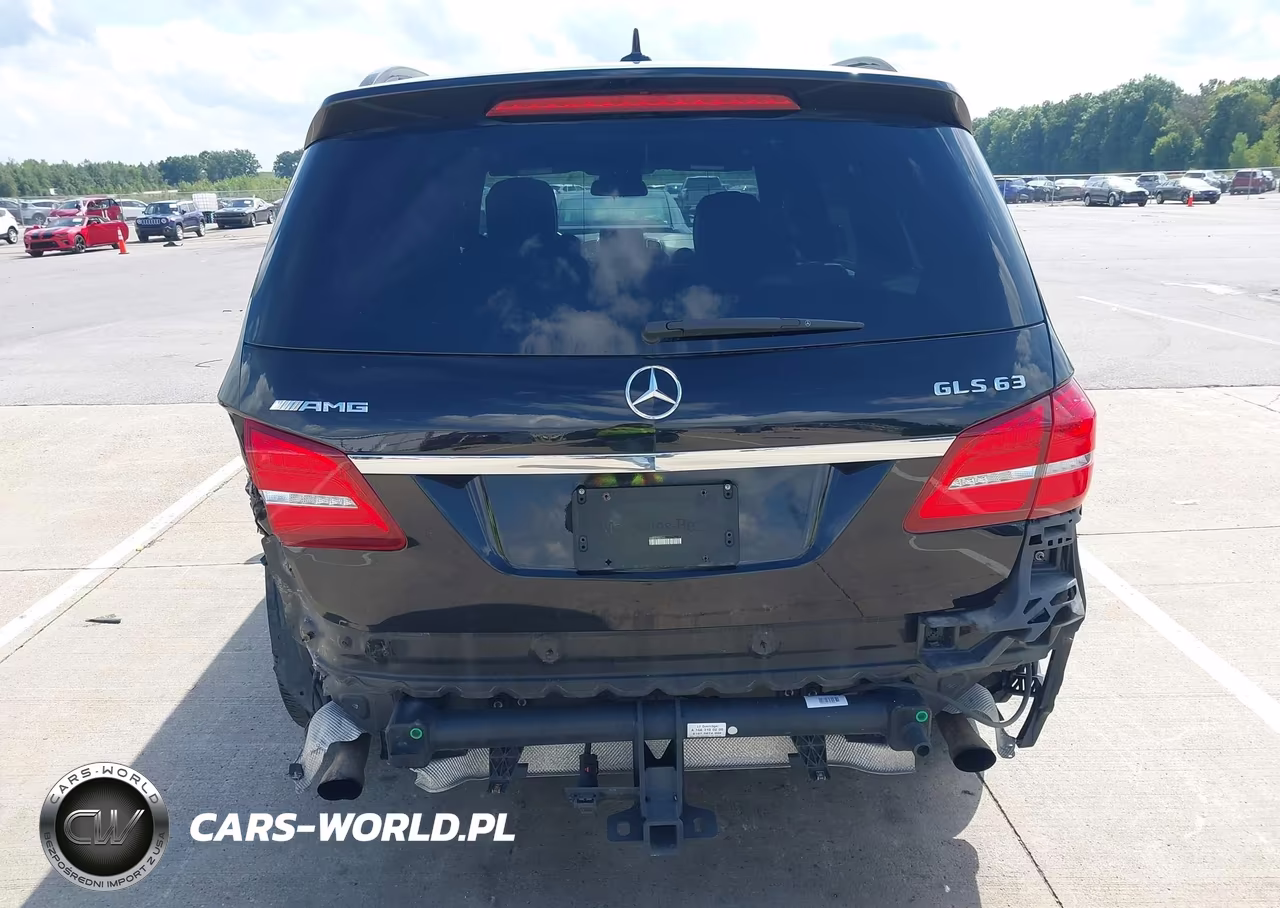 2017 Mercedes-Benz Amg Gls 63 4Matic VIN:4JGDF7FE6HA913794 - 17