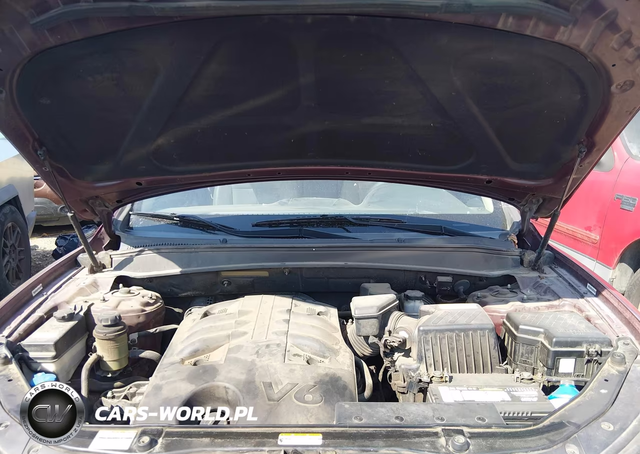 2009 Hyundai Santa Fe Limited VIN:5NMSH13E89H252946 - 10