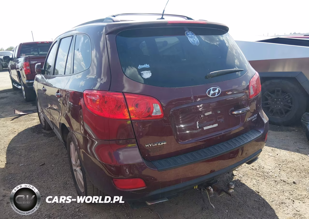 2009 Hyundai Santa Fe Limited VIN:5NMSH13E89H252946 - 3