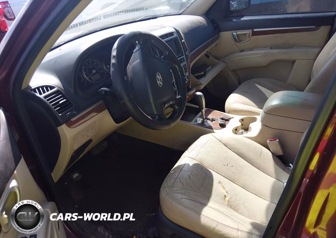 2009 Hyundai Santa Fe Limited VIN:5NMSH13E89H252946 - 5