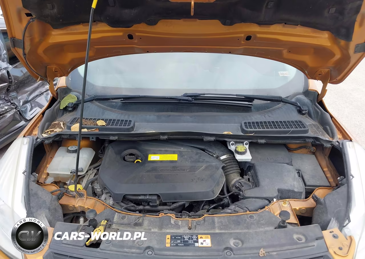 2016 Ford Escape Se VIN:1FMCU0GX7GUA95126 - 10