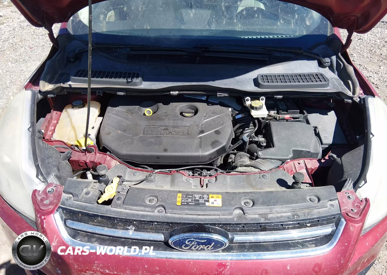 2013 Ford Escape Sel VIN:1FMCU9H99DUA07516 - 10