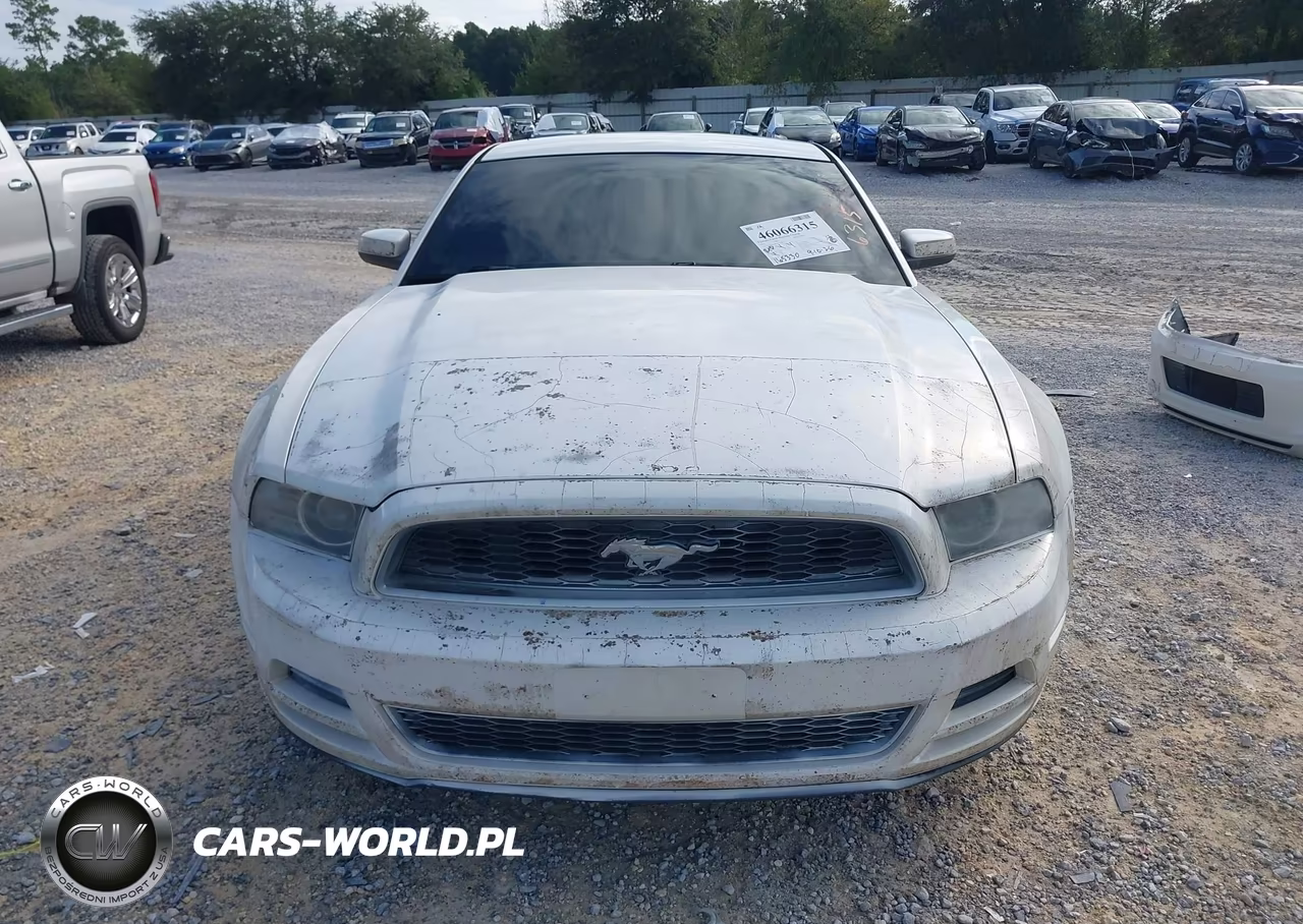2013 Ford Mustang V6 Premium VIN:1ZVBP8AM8D5233781 - 13