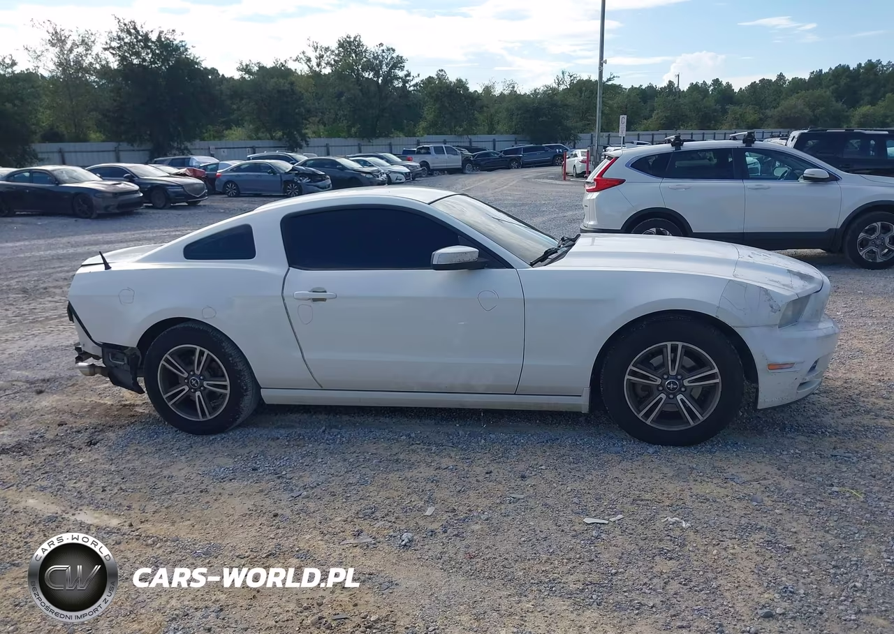 2013 Ford Mustang V6 Premium VIN:1ZVBP8AM8D5233781 - 14