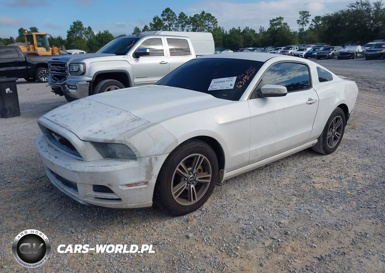 2013 Ford Mustang V6 Premium VIN:1ZVBP8AM8D5233781 - 2