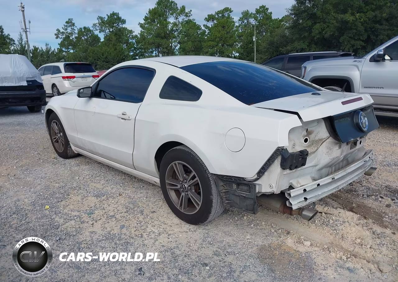 2013 Ford Mustang V6 Premium VIN:1ZVBP8AM8D5233781 - 3