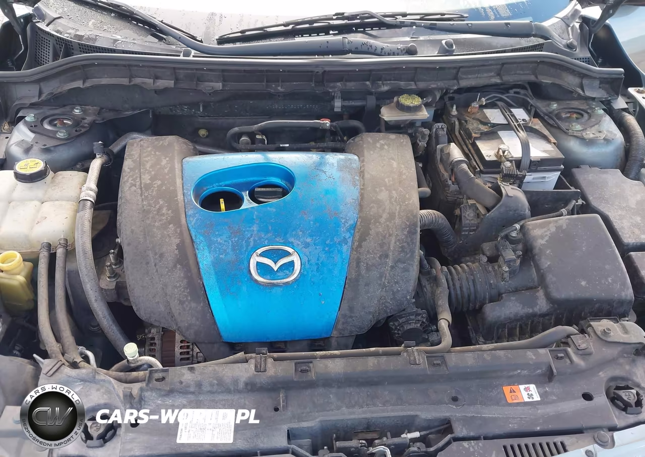 2013 Mazda Mazda3 I Sport VIN:JM1BL1U75D1715756 - 10