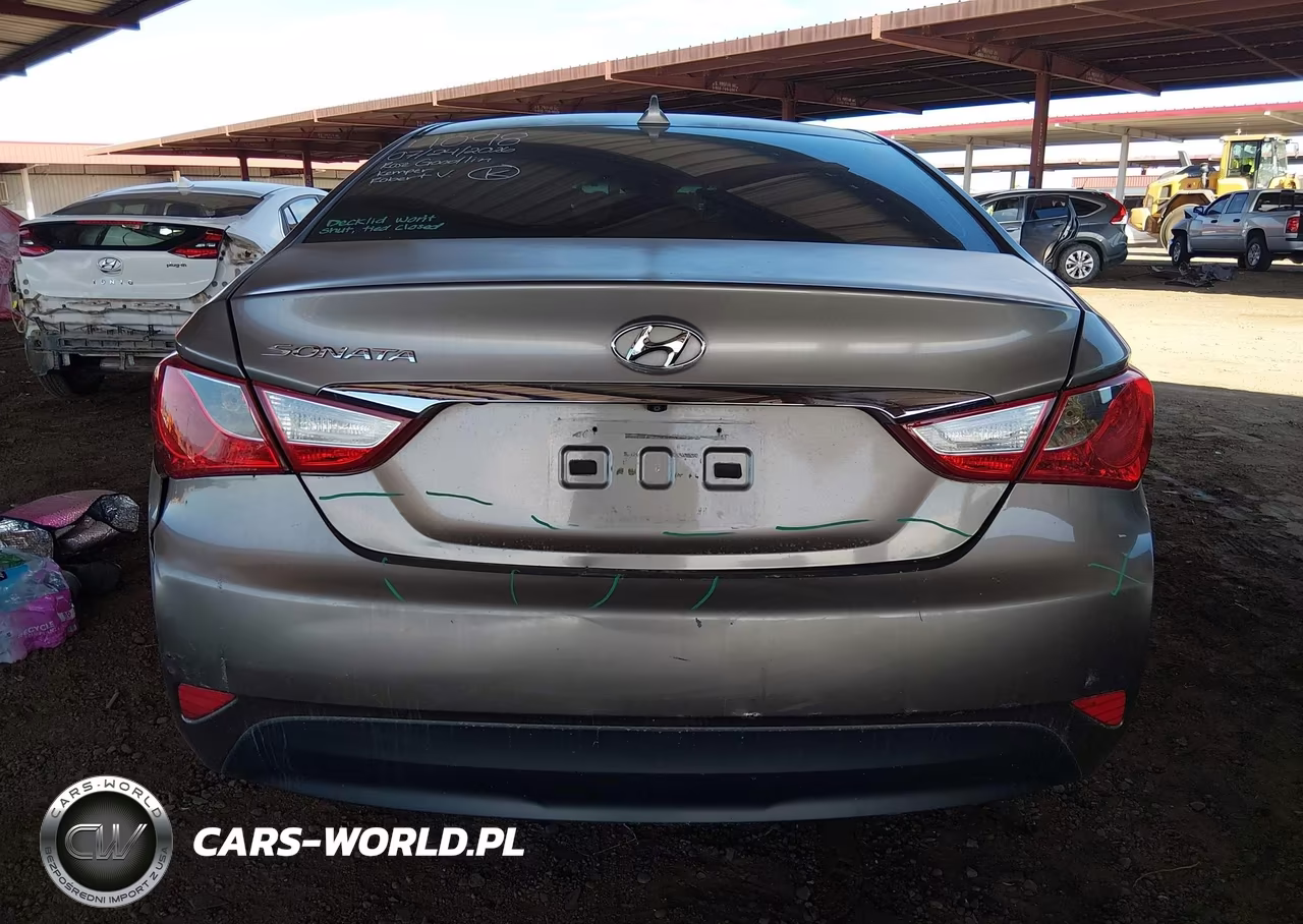 2014 Hyundai Sonata Gls VIN:5NPEB4AC7EH933050 - 16