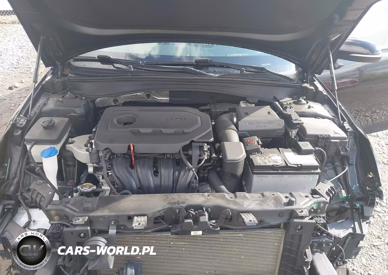 2019 Kia Optima Lx VIN:5XXGT4L33KG355331 - 10
