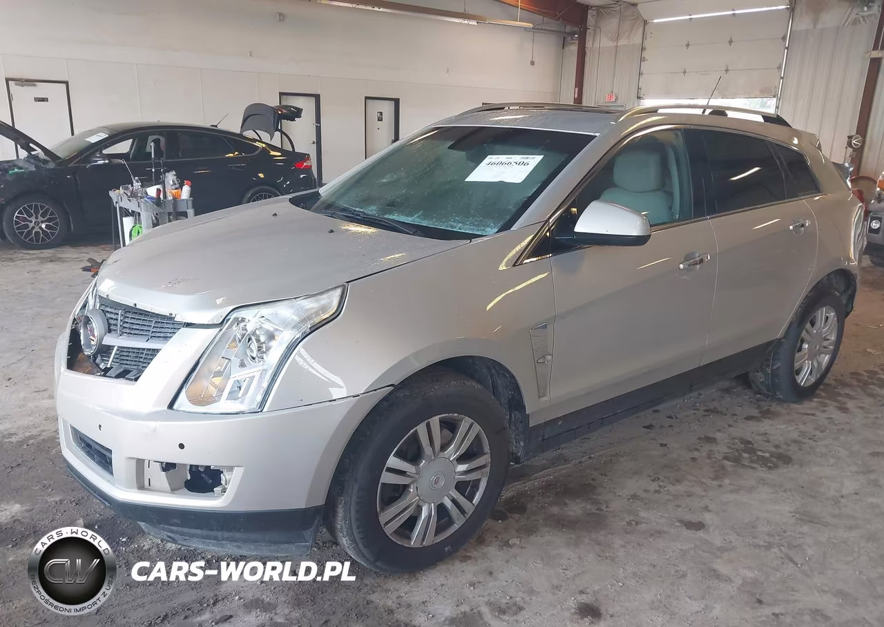 2011 Cadillac Srx Luxury Collection VIN:3GYFNDEY5BS568669 - 2