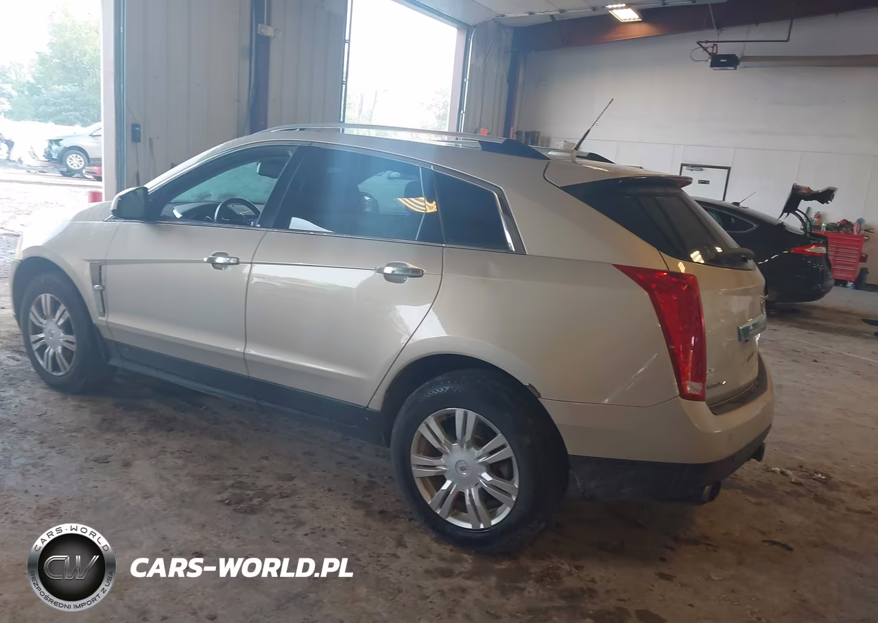 2011 Cadillac Srx Luxury Collection VIN:3GYFNDEY5BS568669 - 3