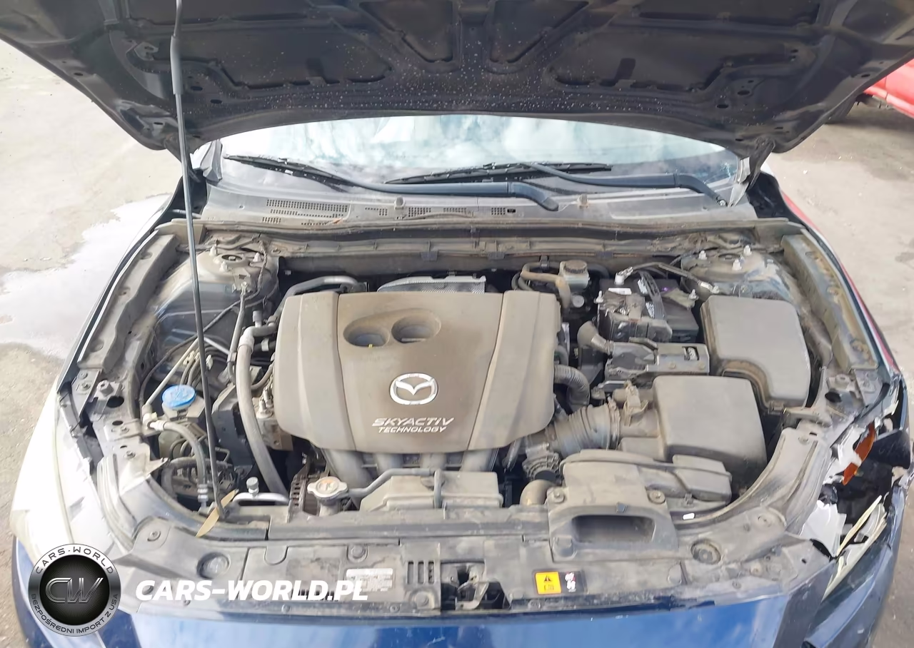 2015 Mazda Mazda3 I Sport VIN:JM1BM1K71F1273979 - 10