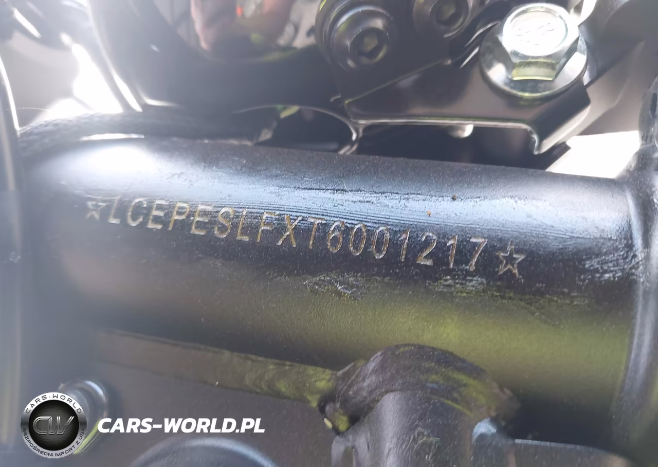 2026 Cf Moto 450 Cl-C VIN:LCEPESLFXT6001217 - 10