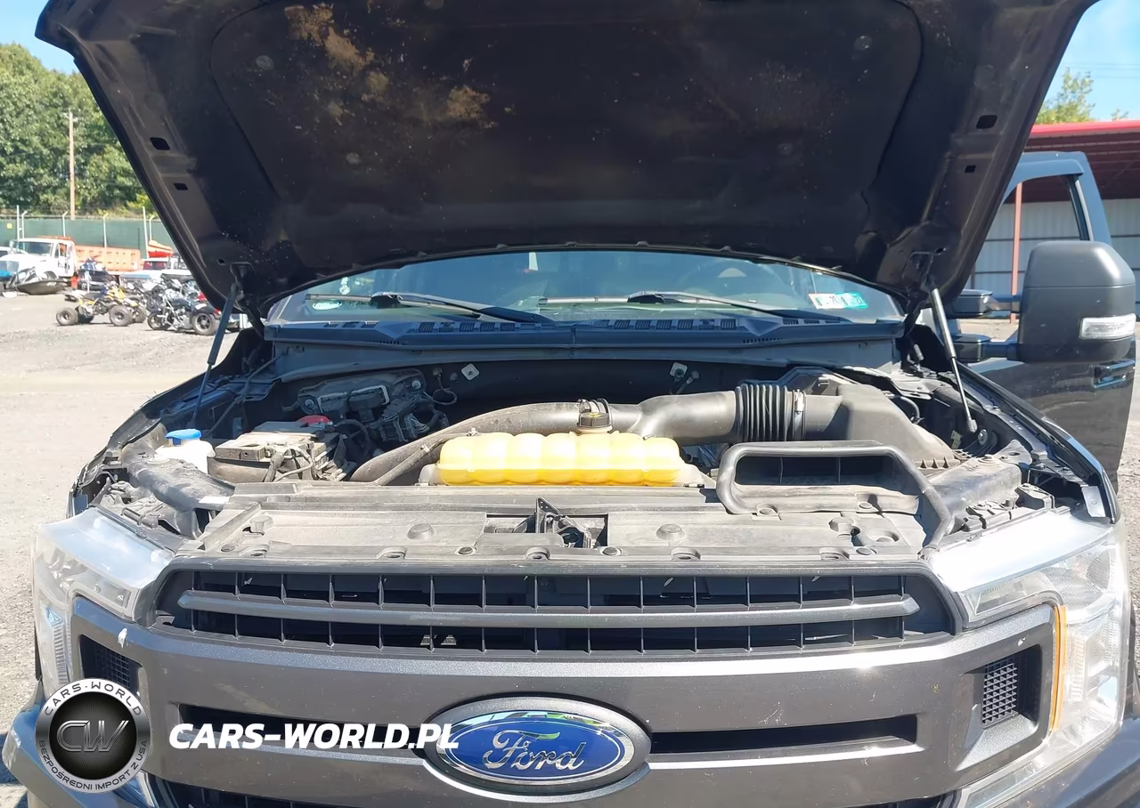 2019 Ford F-150 Xlt VIN:1FTFW1E41KKC05943 - 10