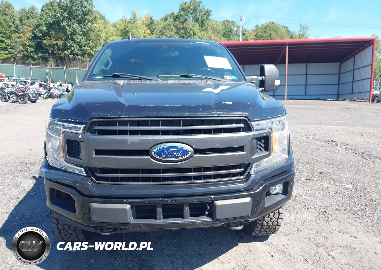 2019 Ford F-150 Xlt VIN:1FTFW1E41KKC05943 - 12