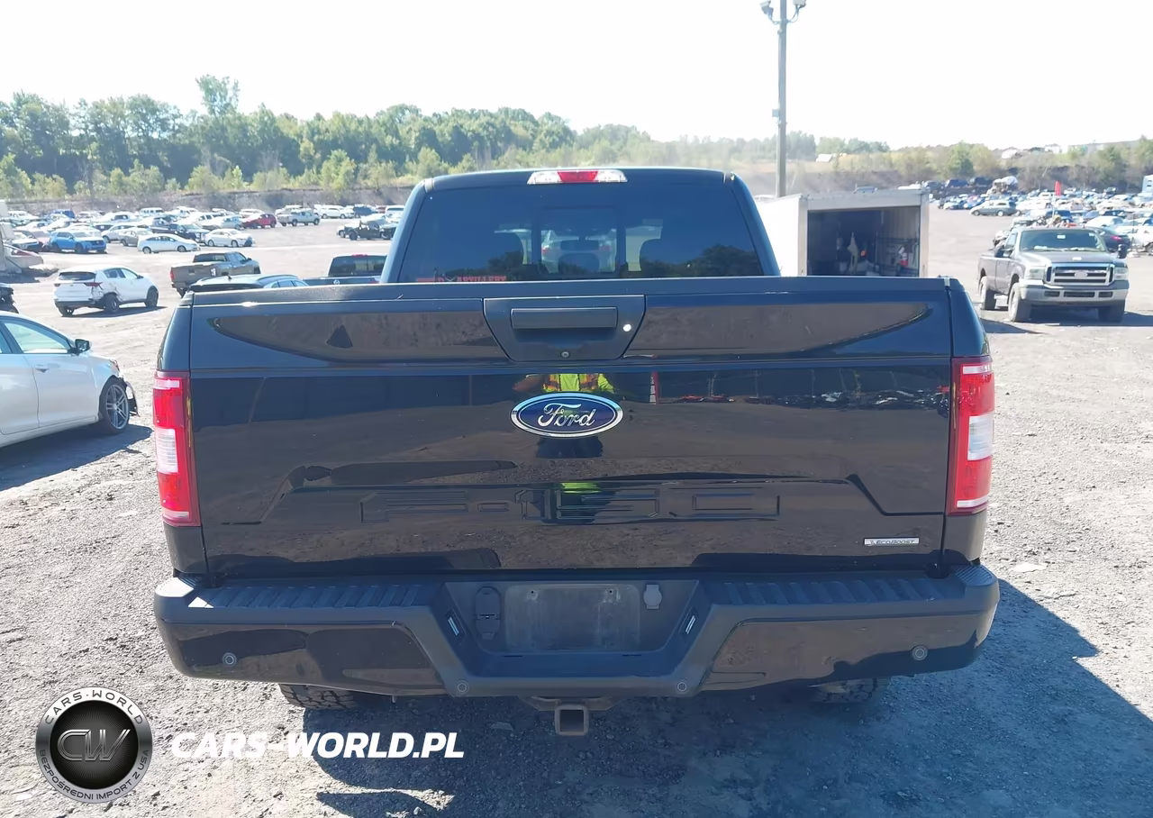2019 Ford F-150 Xlt VIN:1FTFW1E41KKC05943 - 16