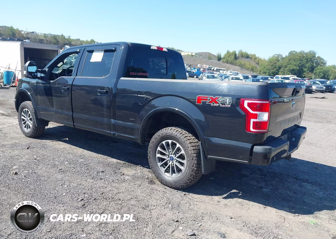 2019 Ford F-150 Xlt VIN:1FTFW1E41KKC05943 - 3