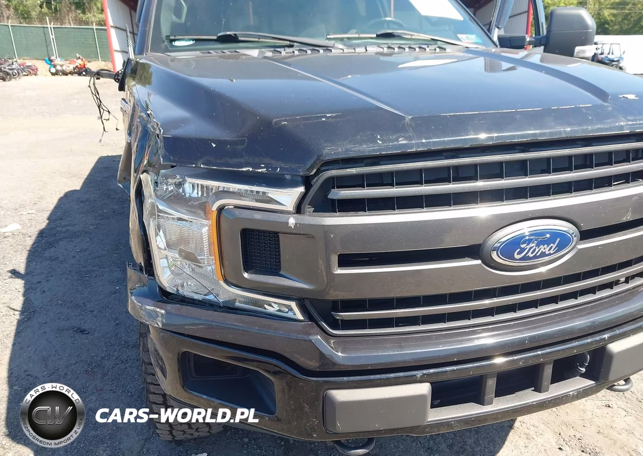 2019 Ford F-150 Xlt VIN:1FTFW1E41KKC05943 - 6