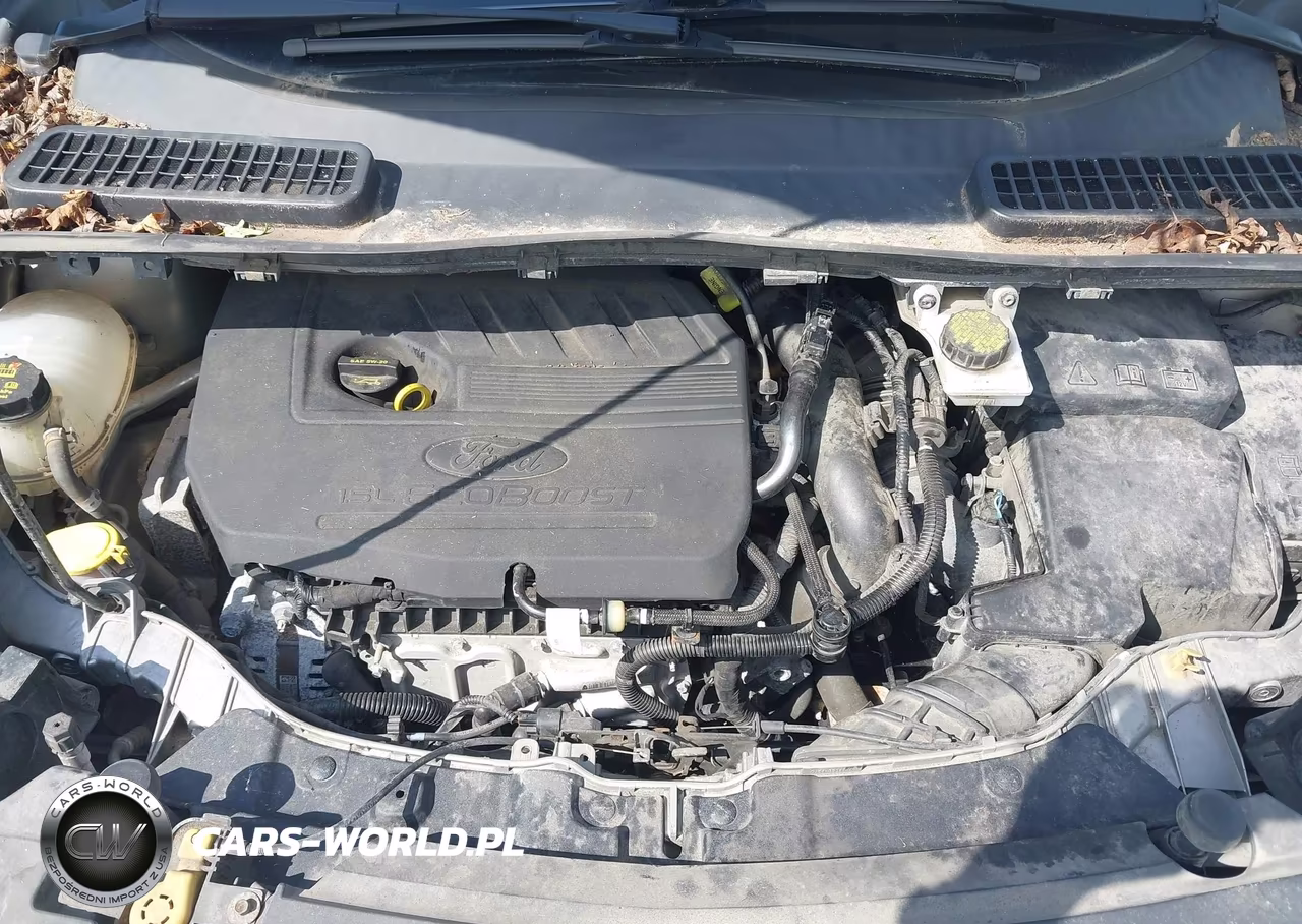2018 Ford Escape Se VIN:1FMCU0GD5JUC69563 - 10