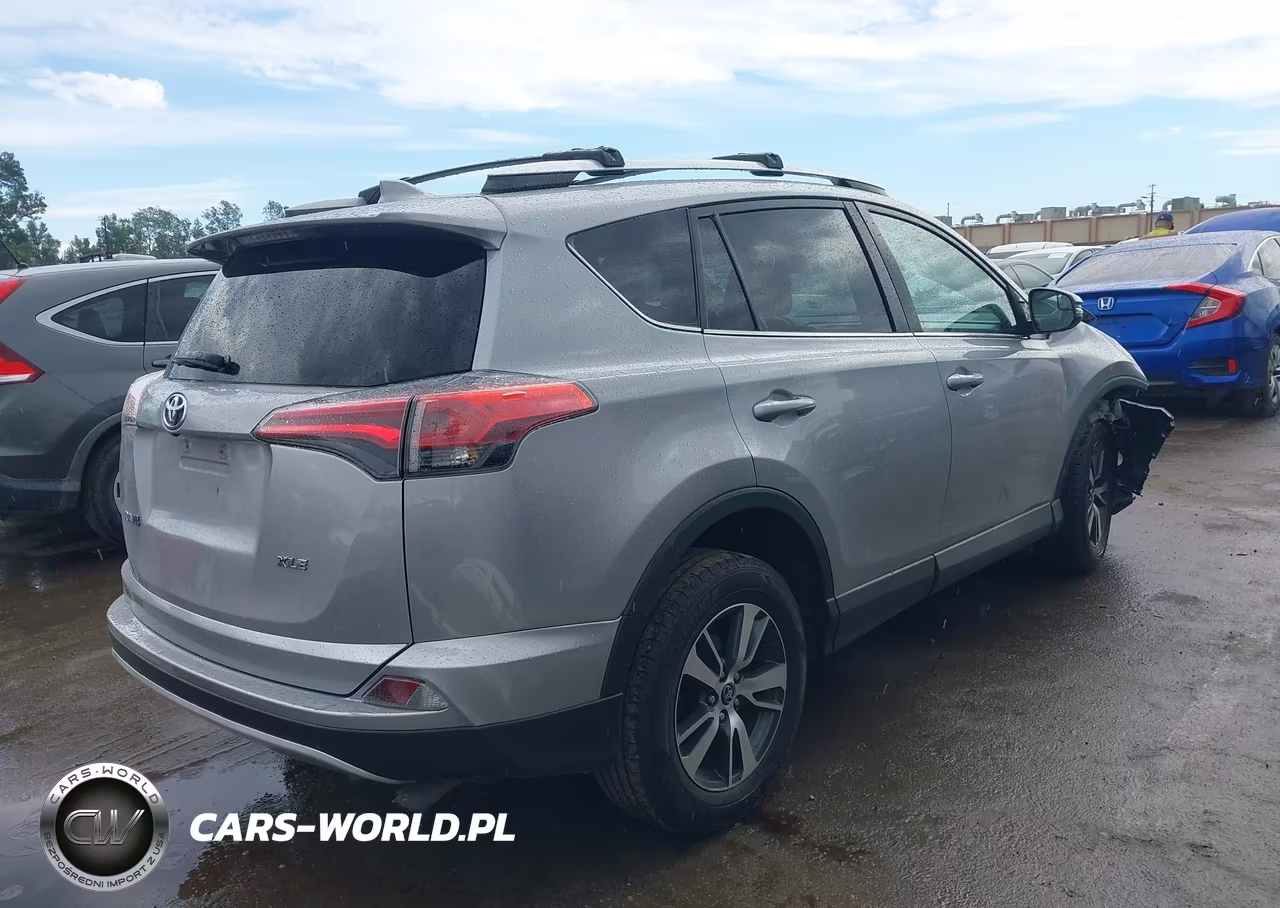 2016 Toyota Rav4 Xle VIN:2T3WFREV1GW283029 - 4