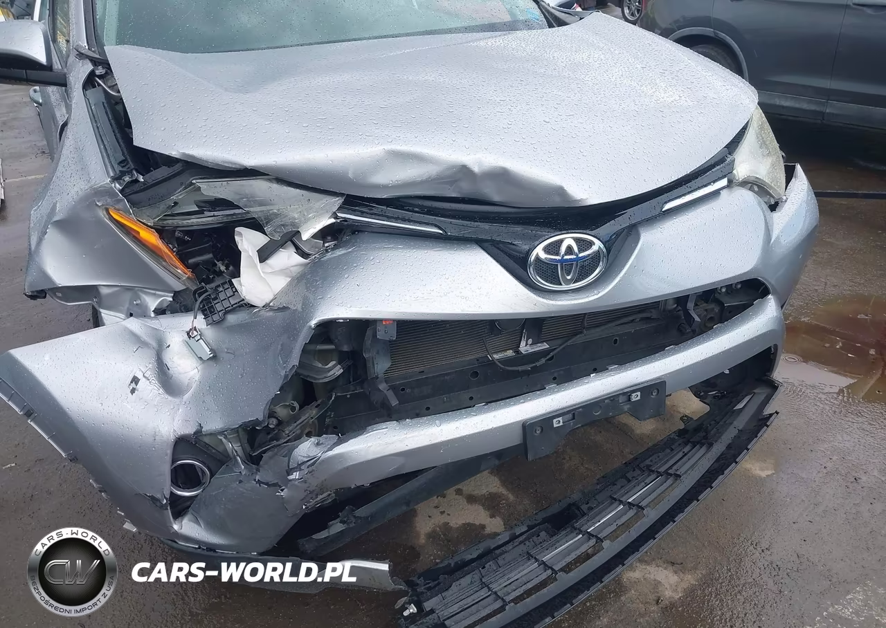 2016 Toyota Rav4 Xle VIN:2T3WFREV1GW283029 - 6