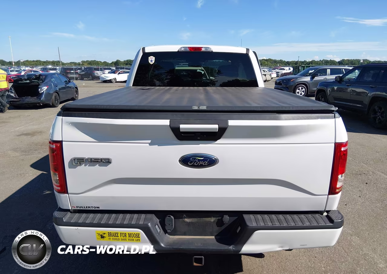 2017 Ford F-150 Xlt VIN:1FTEX1EP0HFA30198 - 16
