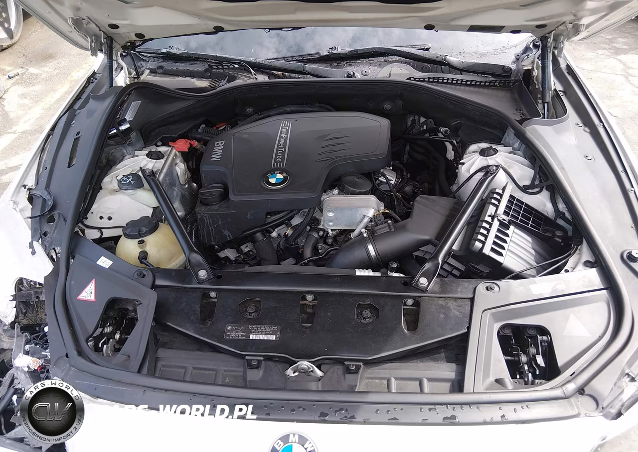 2014 BMW 528I VIN:WBA5A5C57ED504016 - 10