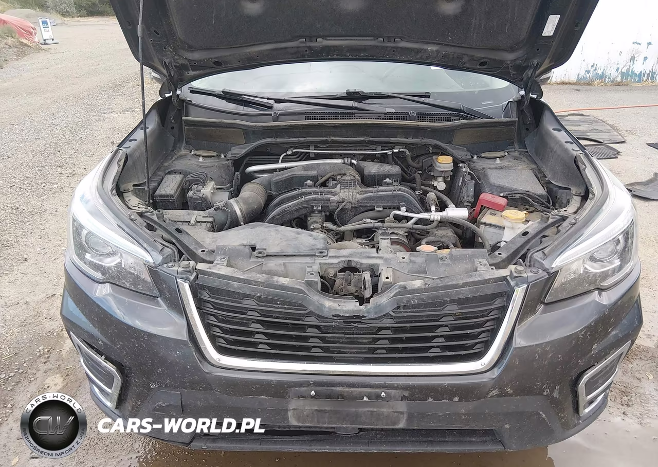 2019 Subaru Forester Limited VIN:JF2SKAUC6KH564416 - 10