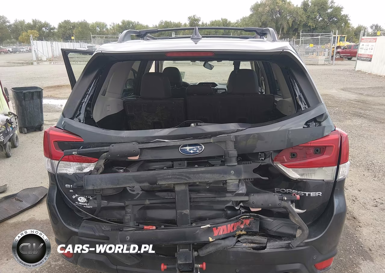 2019 Subaru Forester Limited VIN:JF2SKAUC6KH564416 - 6