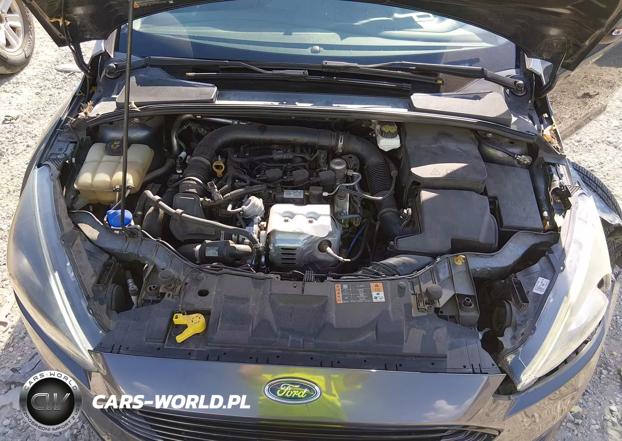 2017 Ford Focus Se VIN:1FADP3FE9HL257689 - 10